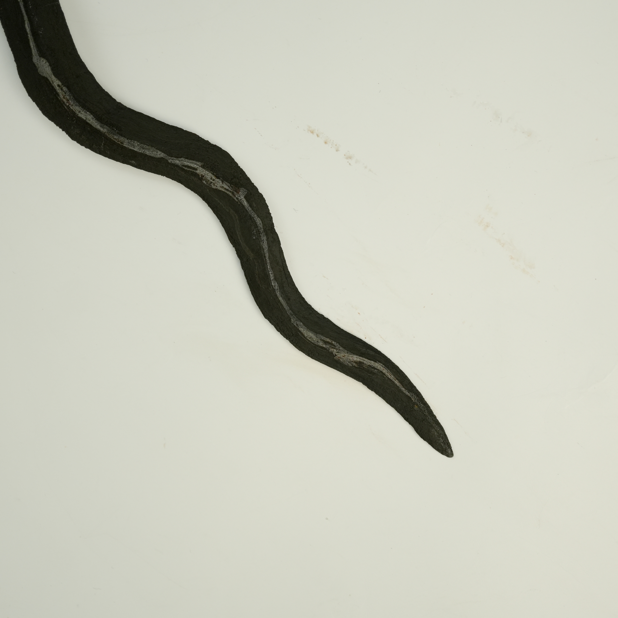 Keris Carang Soka Pamor Lintang Kemukus