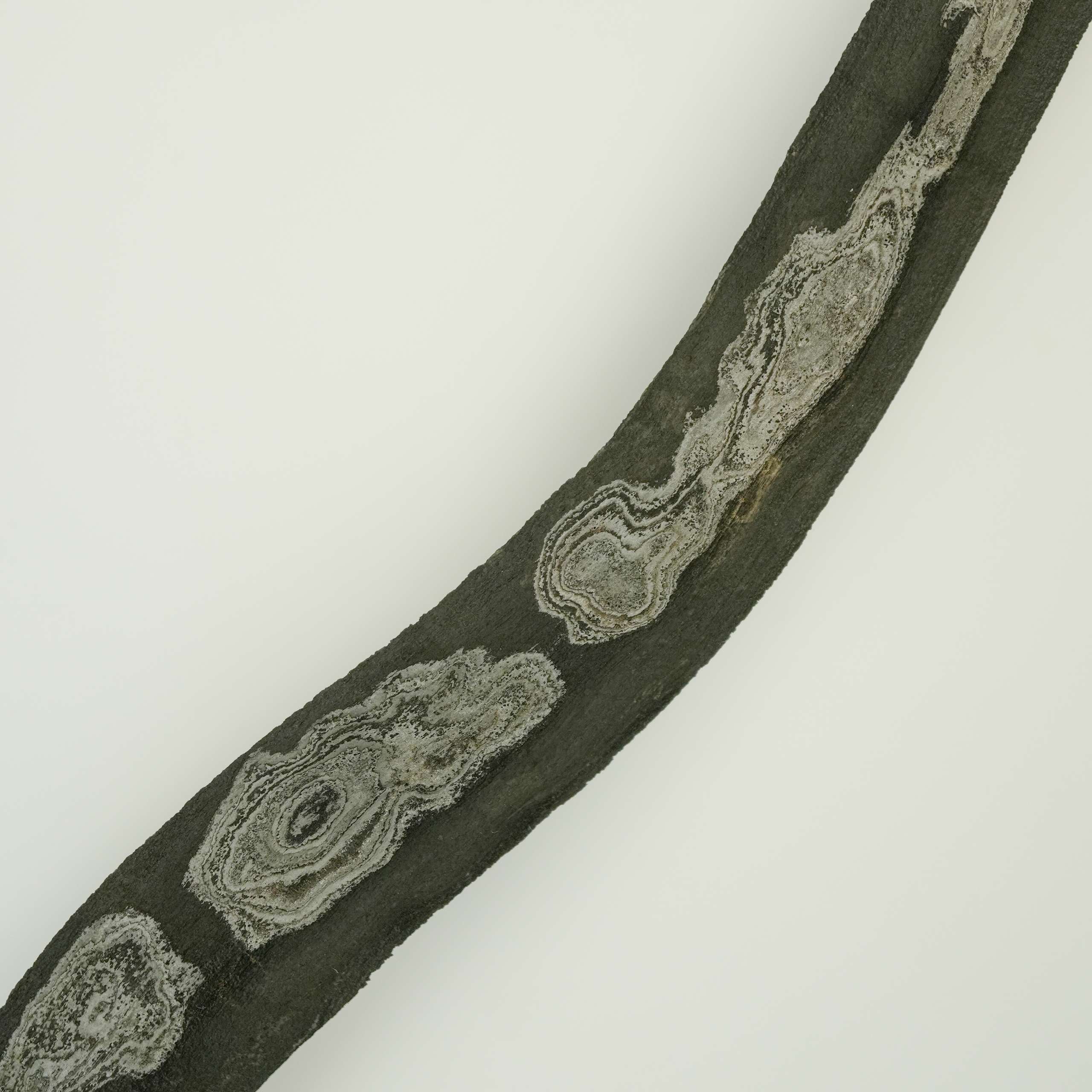 Keris Naga Bongkokan Kinatah Emas