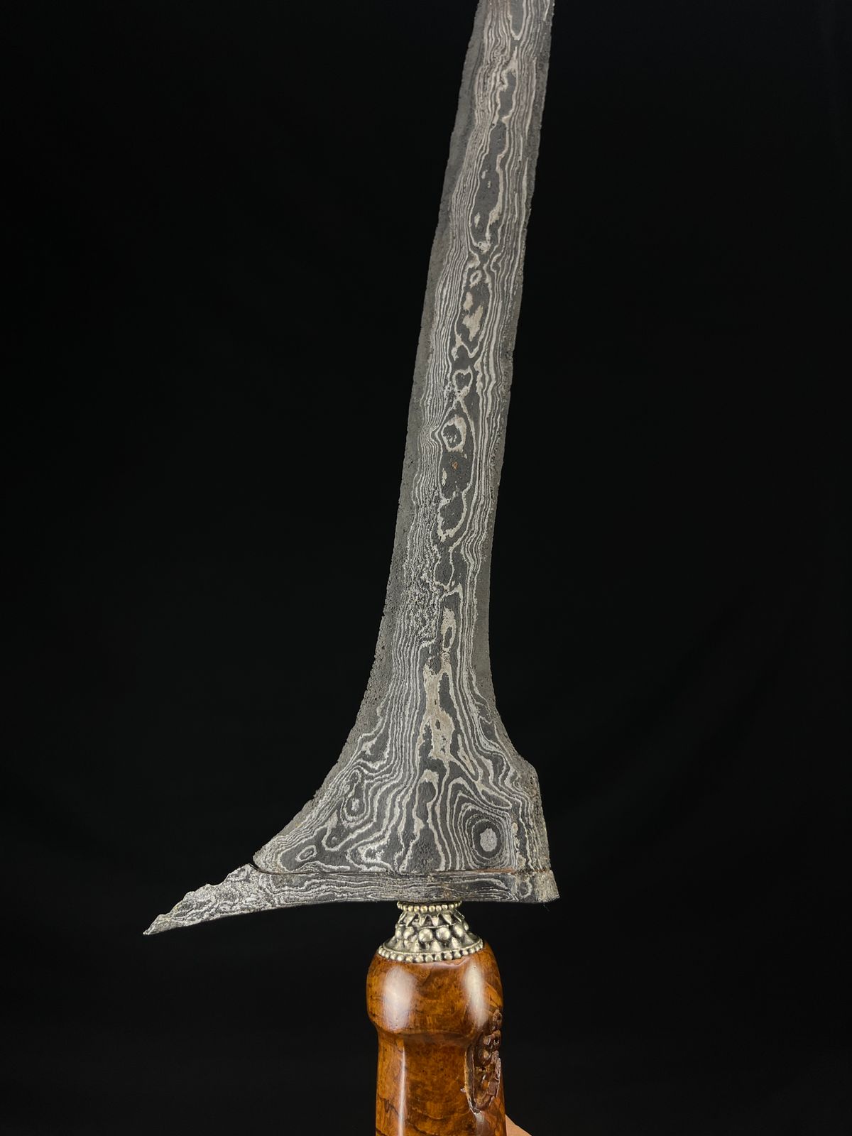 Jalak Ngore Segoro Muncar HB Sepuh TUS