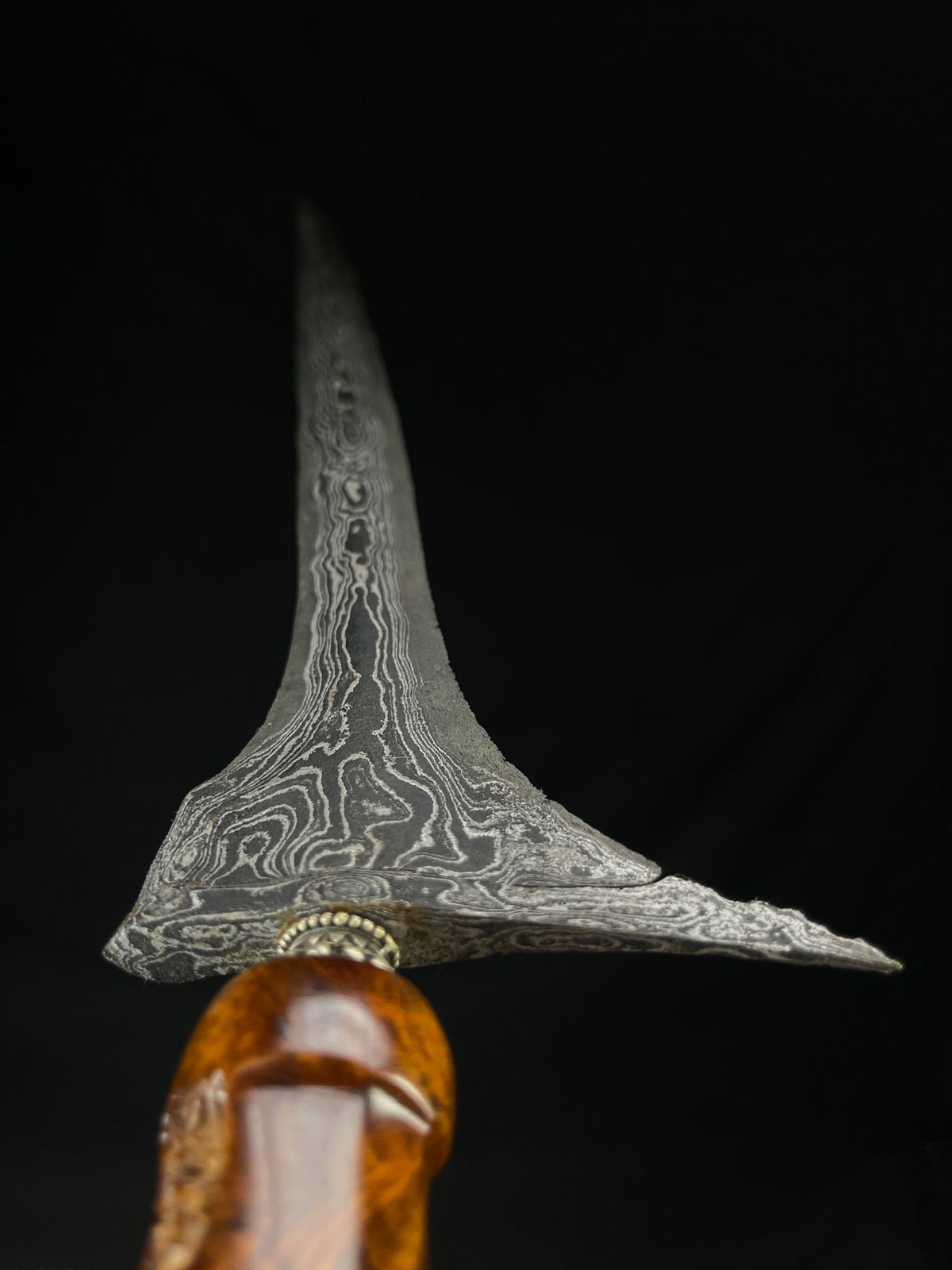 Jalak Ngore Segoro Muncar HB Sepuh TUS