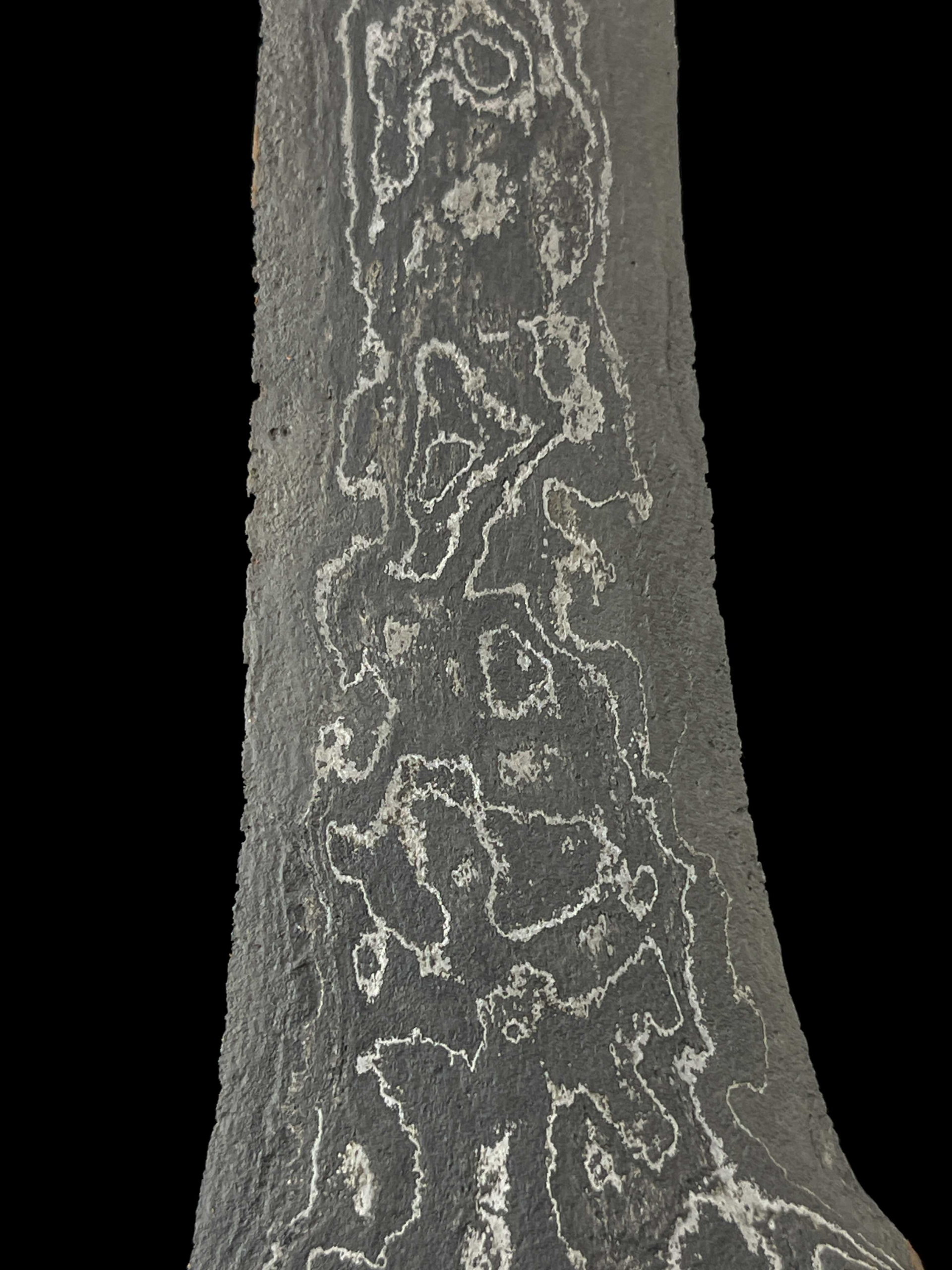 Kebo Lajer Pamor Wos Wutah Tuban TUS