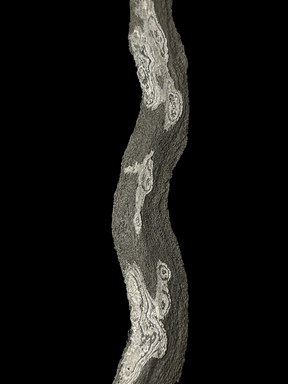 Parungsari Mataram Senopaten