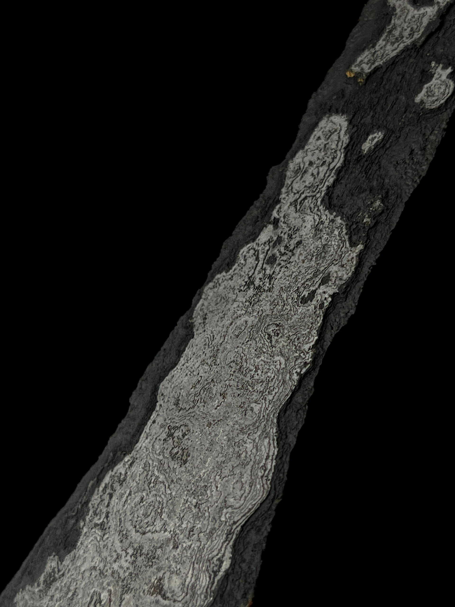 Keris Brojol Tangguh Tuban Era Singasari