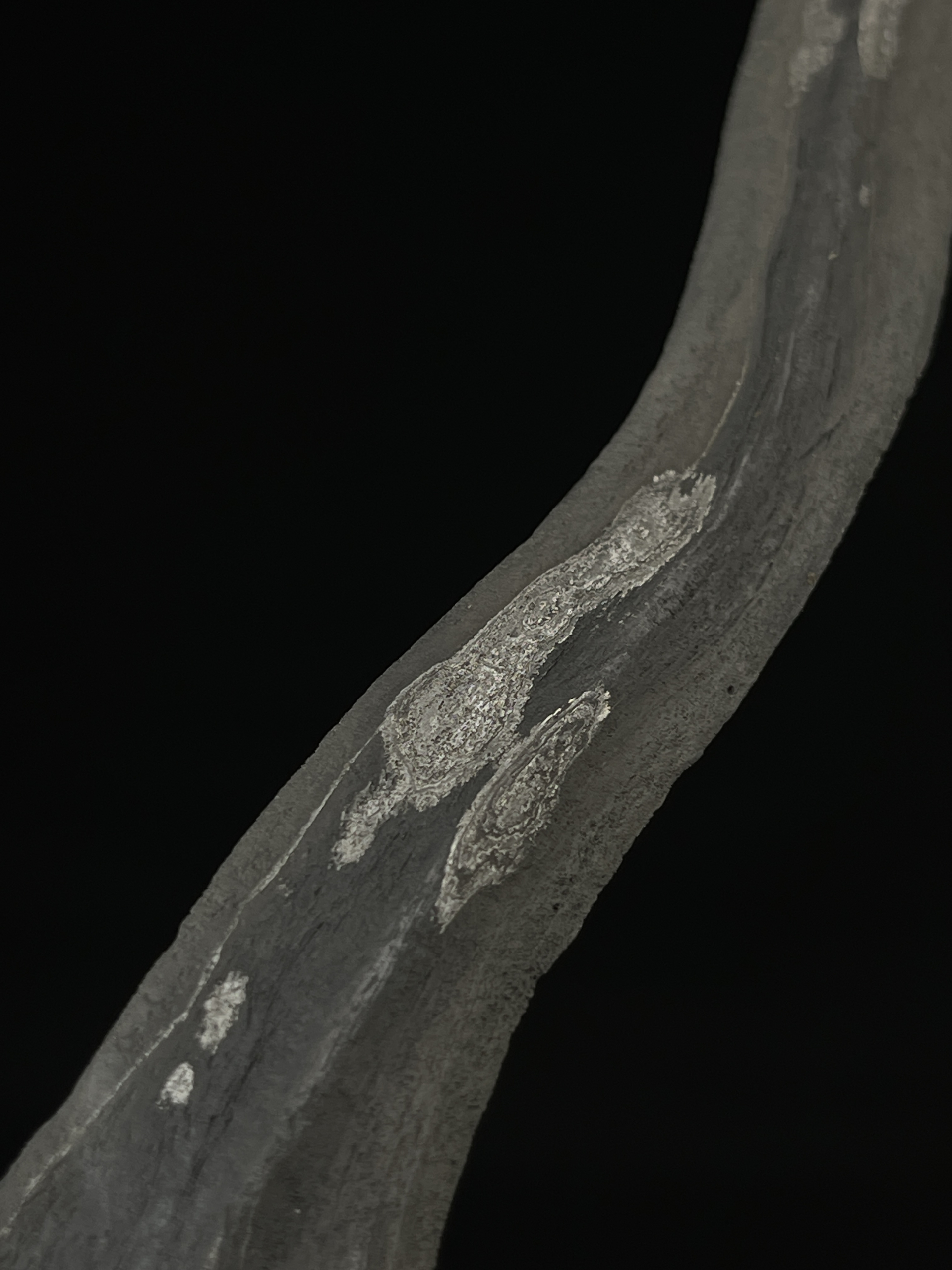 Keris Pulanggeni Majapahit