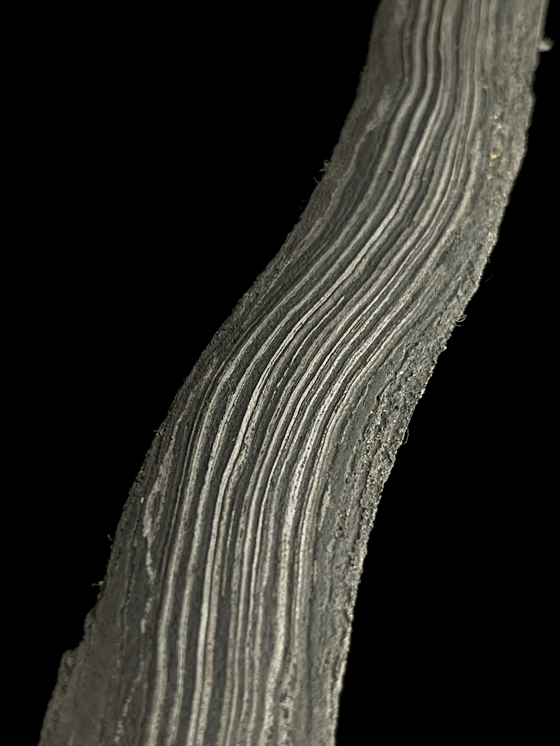 Keris Carang Soka Gonjo Iras Pamor Singkir