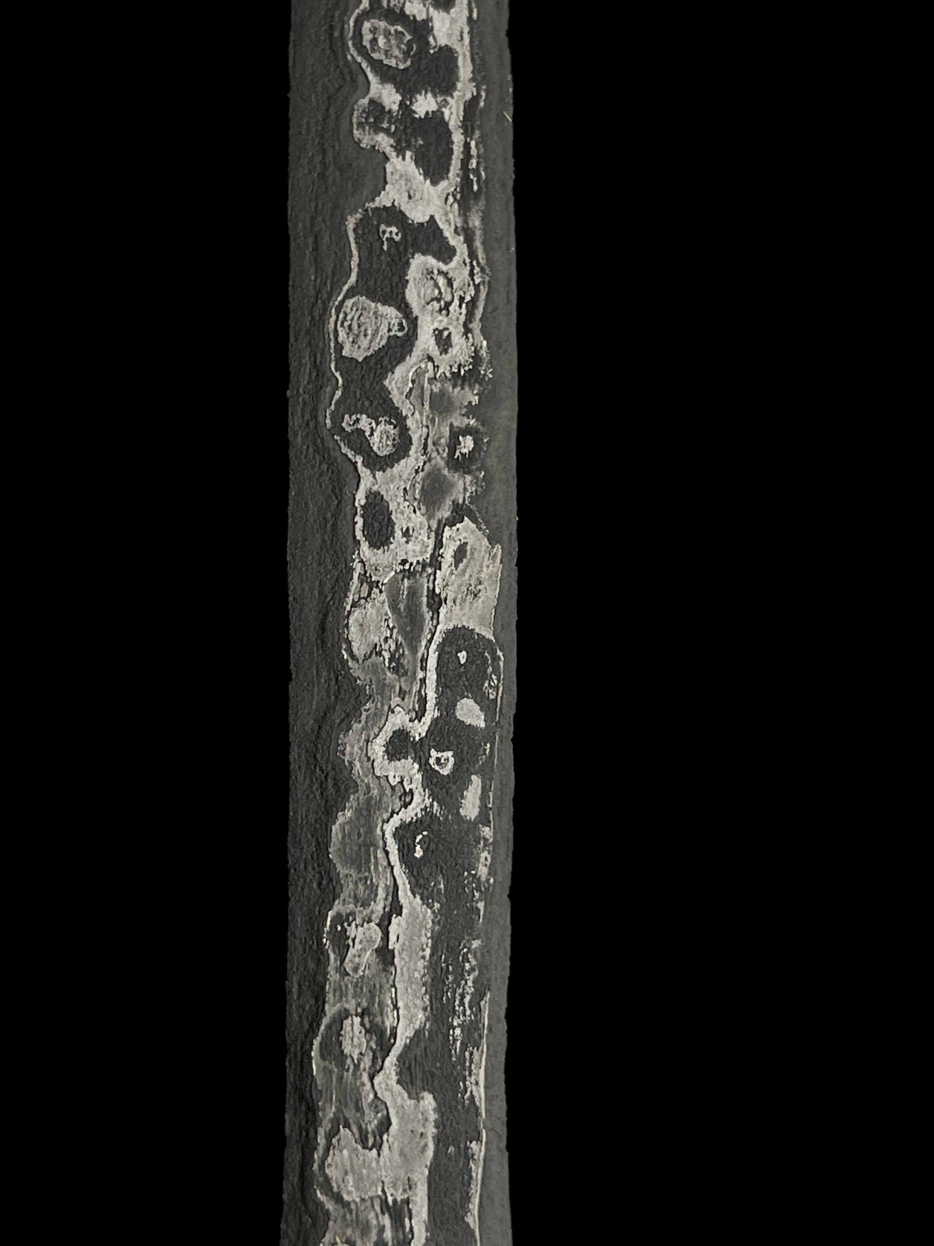 Keris Segaluh Pamor Dwi Warna